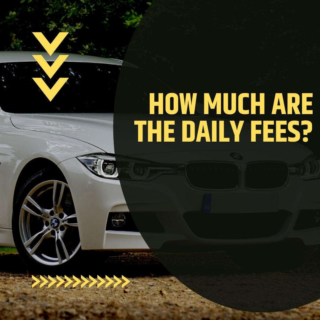 How much are the Daily Fees